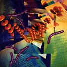 I DON'T KNOW WHY I LOVE YOU (BUT I LOVE YOU)