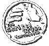 SCRITTI CRUSH CONNECTION